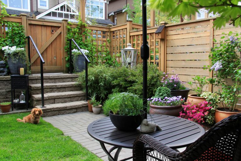 Small beautiful backyard with wooden fence downtown Toronto.